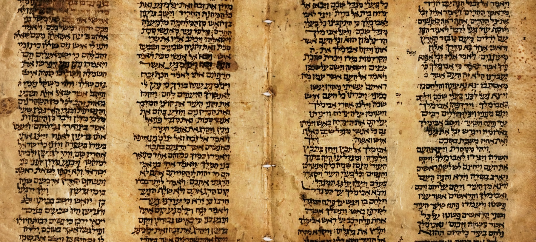 The Art of Why Bible Matrix